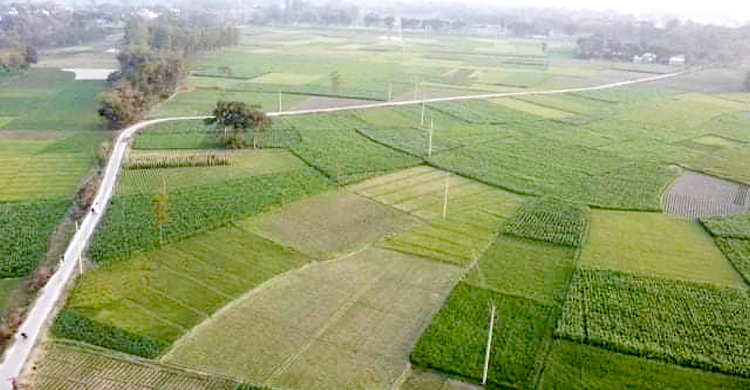 খাস জমি কিনে প্রতারিত ১৫০ পরিবার