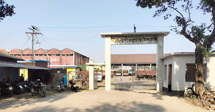 ঠাকুরগাঁয়ে আখ চাষে ফিরছেন কৃষকরা