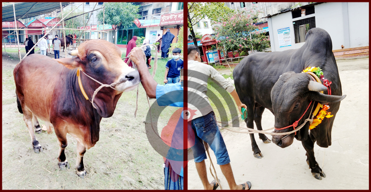 ‘মেসি’র দাম হাঁকছেন ৫ লাখ, নেইমার বিক্রি হবে ৩-এ