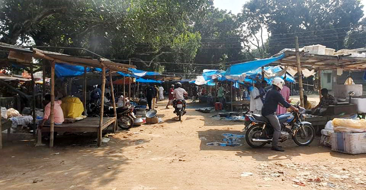 মাছ বাজারটি এখন গলার কাঁটা