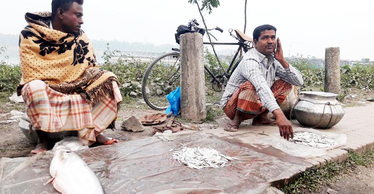 ধু ধু তিস্তায় পানিও নেই মাছও নেই