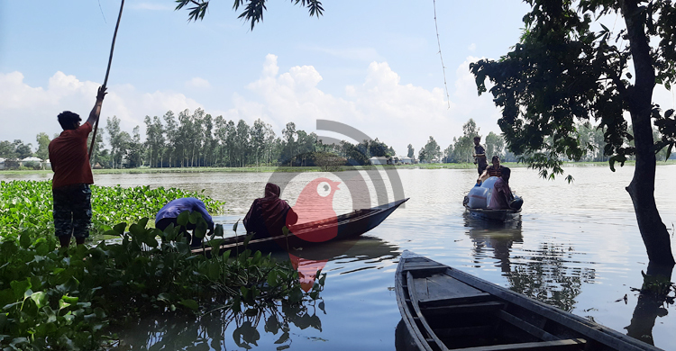 তিস্তার পানি বিপৎসীমার ওপরে, নিম্নাঞ্চল প্লাবিত