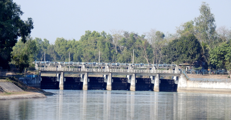 তিস্তার সেচে ৫৩ হাজার হেক্টর জমিতে বোরো রোপণ