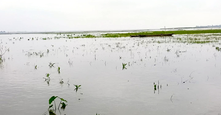 ফের বেড়েছে তিস্তার পানি