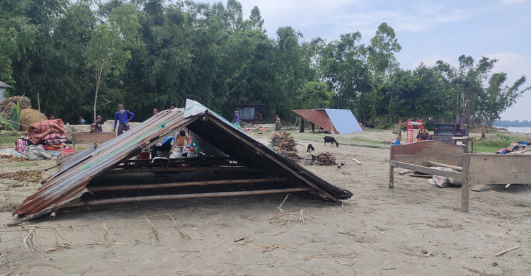 তিস্তা গিলছে বসতবাড়ি-স্থাপনা