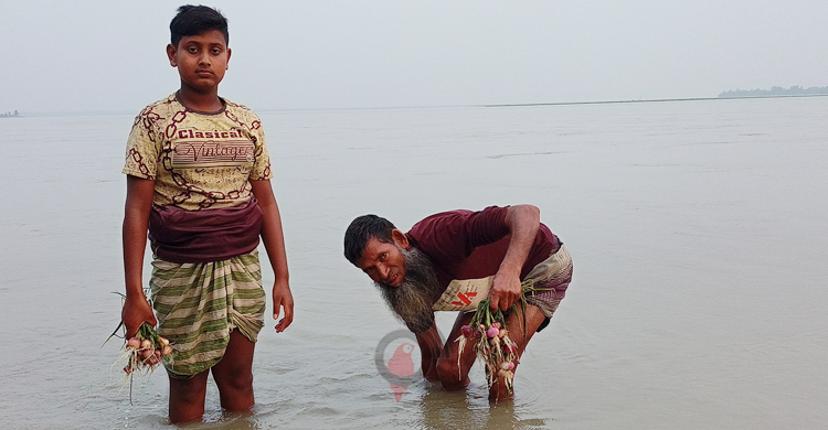 ৩৫ বছর পর বিধ্বংসী রূপে তিস্তা