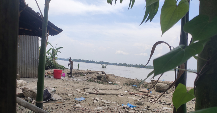 তিস্তা গিলছে বসতবাড়ি-স্থাপনা