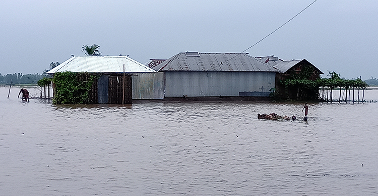 ভারত থেকে আসছে পানি, তিস্তায় বন্যাকবলিত আরও ৫ হাজার পরিবার