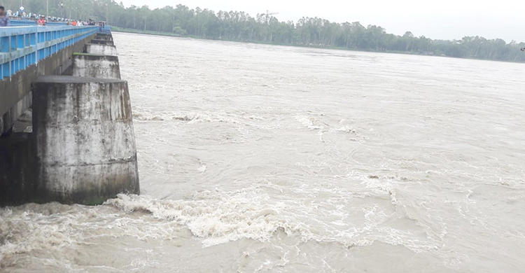 তিস্তায় হু হু করে বাড়ছে পানি