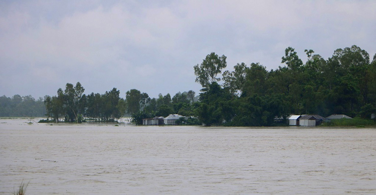 বিপৎসীমার ২০ সেন্টিমিটার ওপরে তিস্তার পানি, চরাঞ্চলে বন্যা