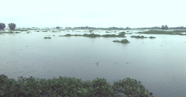 ফুঁসে উঠেছে তিস্তা, ১৫ ঘণ্টায় পানি বেড়েছে ৪৭ সেন্টিমিটার