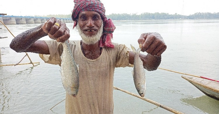 লালমনিরহাটের তিস্তায় ধরা পড়ছে ইলিশ, আনন্দিত জেলেরা