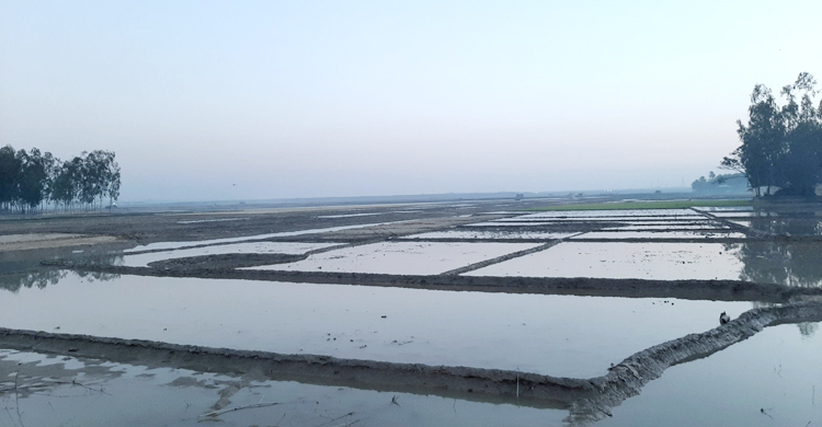 বিদ্যুৎ প্রকল্প বাড়িয়েছে মাতারবাড়ির জমির দাম