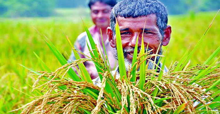 ঘাটতির দেশে এখন বাড়তি খাদ্য