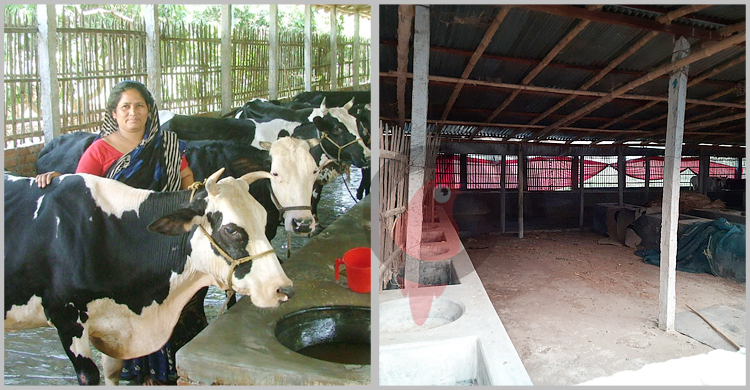 নামসর্বস্ব খামার দেখিয়ে পৌনে ১৫ কোটি টাকা ব্যাংক ঋণ