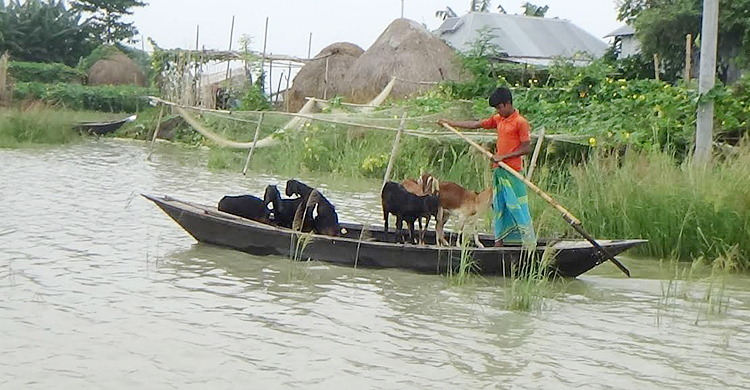 পানিবন্দি দিনরাত্রি, এর মাঝে ভয় সাপ-ডাকাতের