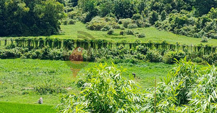 থমথমে তুমব্রু সীমান্ত: আতঙ্কে ঘরবন্দি মানুষ