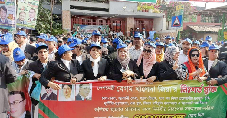 মিছিলে মিছিলে সমাবেশে বিএনপিপন্থি আইনজীবীরা
