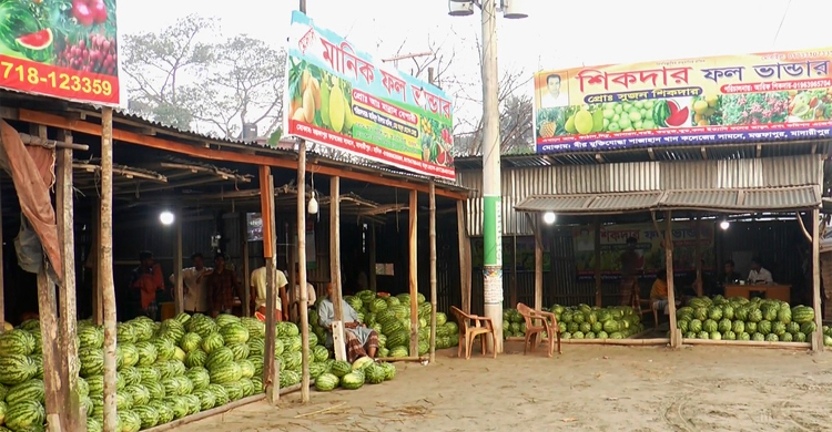 ক্রেতাদের নাগালের বাইরে তরমুজ