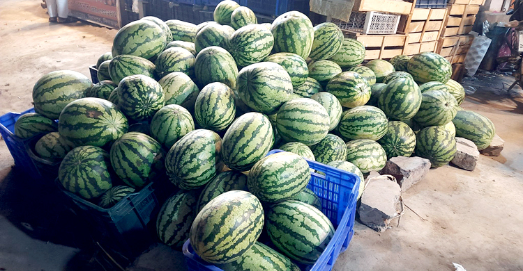 অসময়ে বাজারে তরমুজ, কেজি ৬০