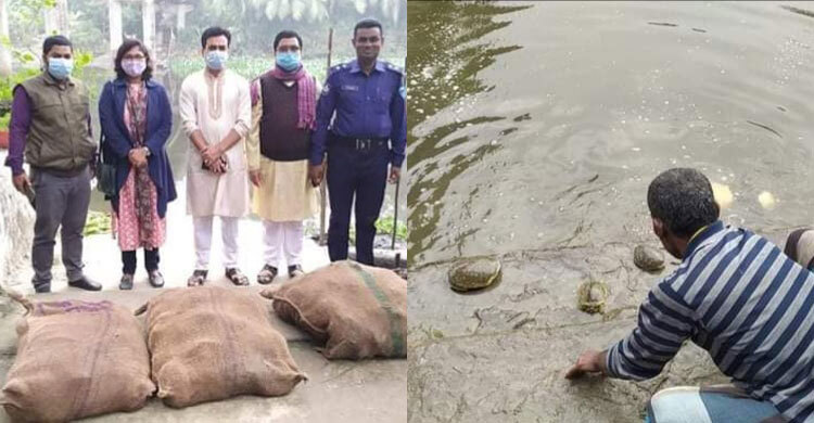 বাসে বস্তাভর্তি ২৬৭ কচ্ছপ উদ্ধার, নদীতে অবমুক্ত