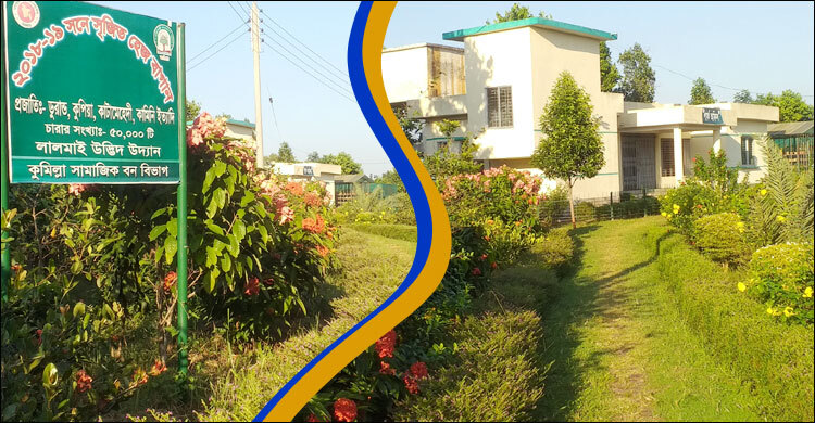 পাহাড় চূড়ায় বিরল উদ্ভিদের সংরক্ষণাগারে যা দেখবেন