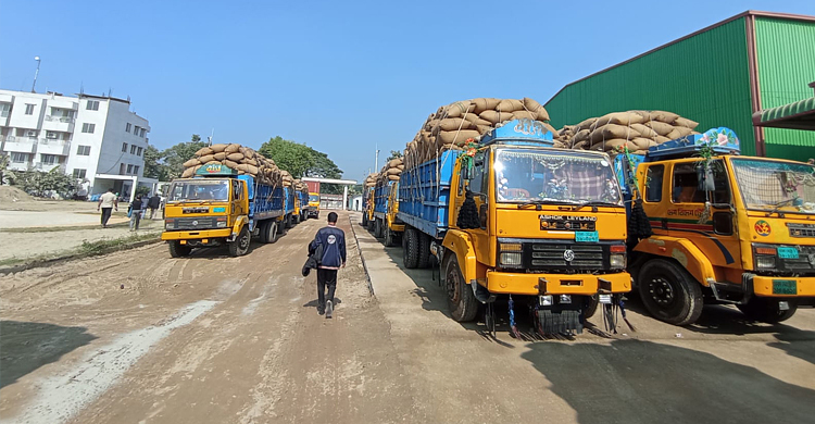 নির্মাণাধীন রাইস মিলে দুই হাজার টন অবৈধ ধান
