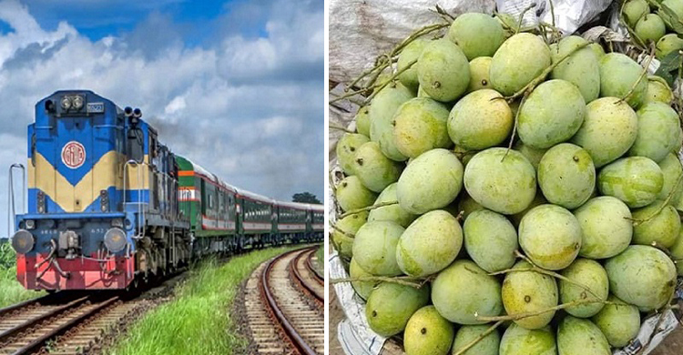 আম নিয়ে ম্যাংগো স্পেশাল ট্রেন ছুটবে কাল