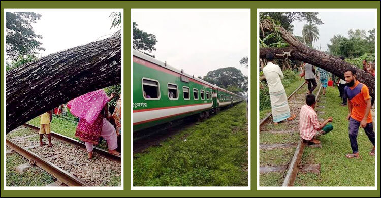 রেললাইনে উপড়ে পড়লো গাছ, ঢাকা-ময়মনসিংহ ট্রেন চলাচল বন্ধ