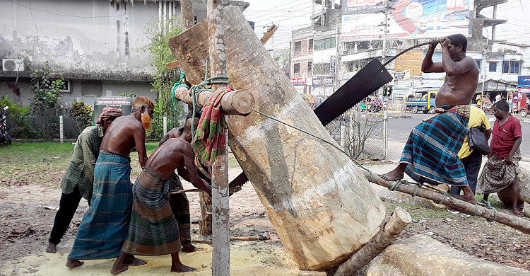 হারিয়ে যেতে বসেছে করাতি পেশা