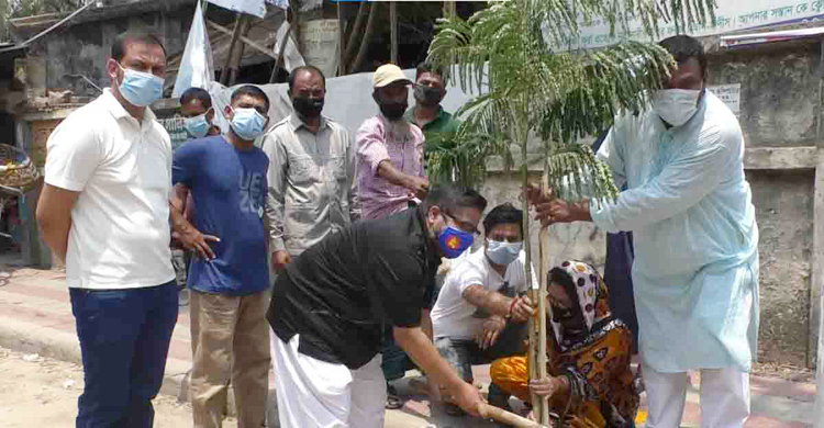 নওগাঁয় ব্যক্তি উদ্যোগে দুুই হাজার বৃক্ষরোপণ