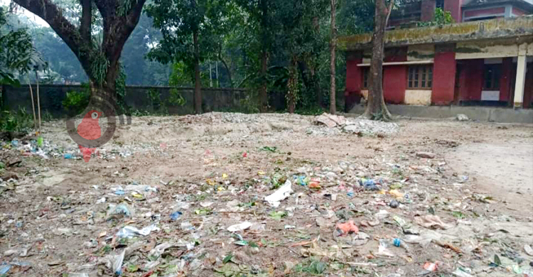 উপজেলা পরিষদ কার্যালয়ের ১০ গাছ কর্তন, জানেন না ইউএনও!