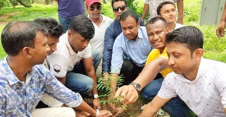 পরিবেশ দিবসে সোহরাওয়ার্দী উদ্যানে ছাত্রদলের বৃক্ষরোপণ