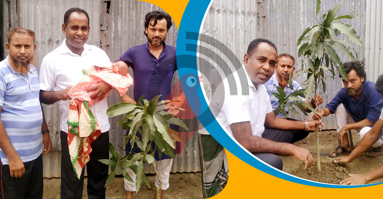 নবজাতক জন্মের খবর পেলেই গাছের চারা উপহার নিয়ে ছুটছেন চেয়ারম্যান
