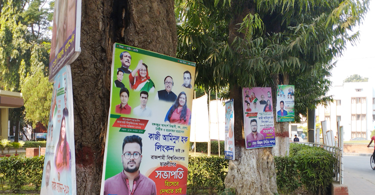 পেরেকে ক্ষত-বিক্ষত ‘পরিবেশ বন্ধু’