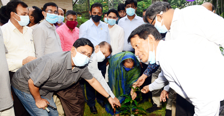 আইইবিতে ‘মুজিব শতবর্ষে শত বৃক্ষরোপণ’