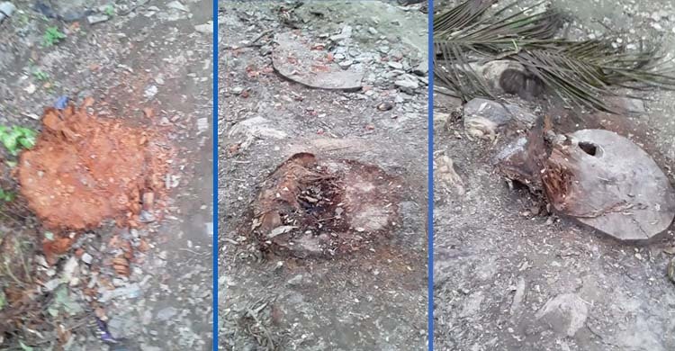 বিদ্যালয়ের গাছ নিলাম হলো ৪টি, মেম্বার কেটে নিলেন ৭টি