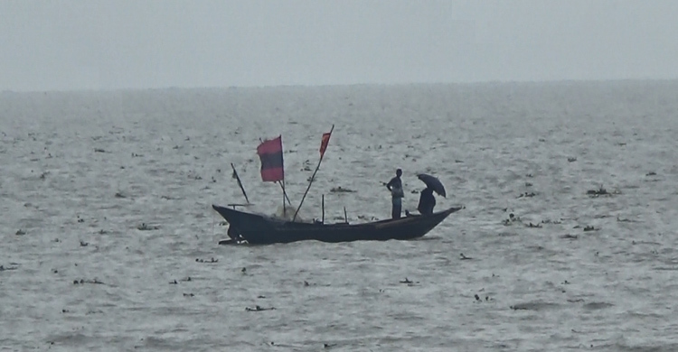 ঘূর্ণিঝড়ে মেঘনায় ডুবে ৩৭৫ ভেড়ার মৃত্যু
