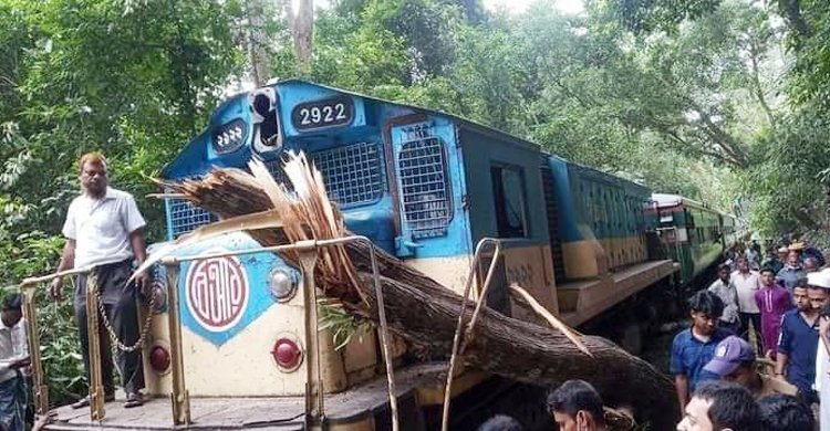 চলন্ত ট্রেনের ওপর ভেঙে পড়ল গাছ