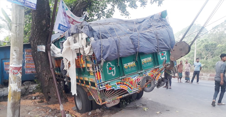 গাছের সঙ্গে ভুট্টাবোঝাই ট্রাকের ধাক্কা, চালক নিহত