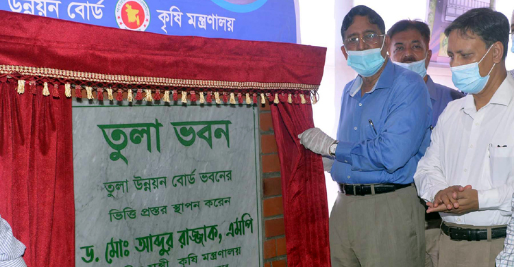তুলা উৎপাদন দিন দিন বাড়ছে : কৃষিমন্ত্রী