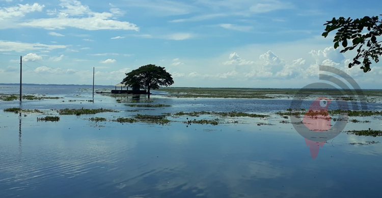 বন্ধ লাউয়াছড়া উদ্যানে এসে ফিরে যাচ্ছেন পর্যটকরা