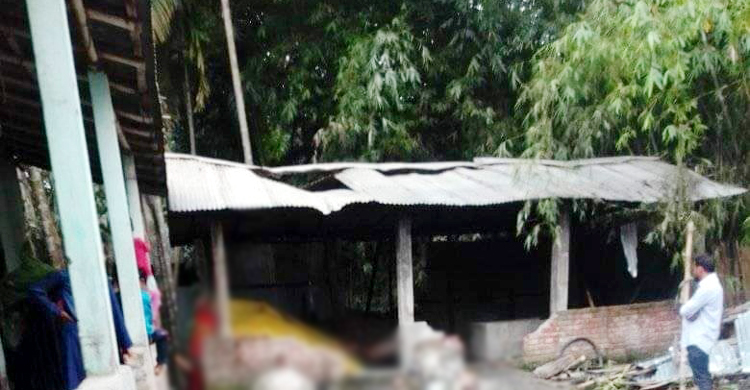 কুড়িগ্রামে আগুনে পুড়ল কৃষকের ৫ গরু