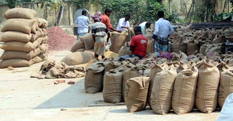 ধান সংগ্রহে লক্ষ্যমাত্রা পূরণে ব্যর্থ লক্ষ্মীপুর খাদ্য বিভাগ