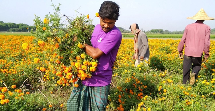 ১ মিনিটে আজকের বাংলাদেশ | ২১ এপ্রিল ২০২১