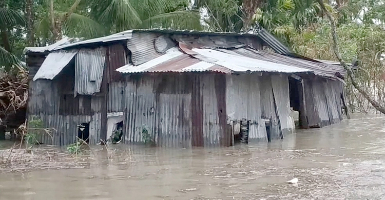ঘর থেকে জোয়ারের পানিতে ভেসে গেল শিশু