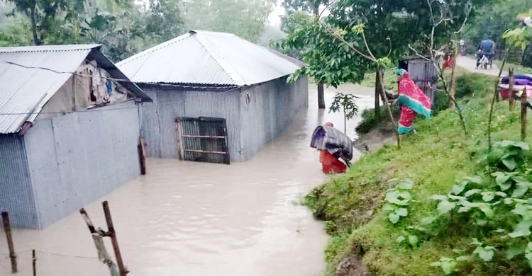 ফুলেফেঁপে উঠেছে তিস্তা, গঙ্গাচড়ায় ১০ হাজার পরিবার পানিবন্দি