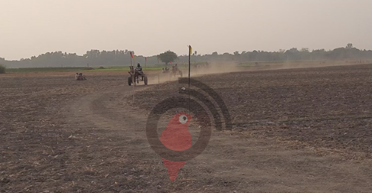 বাংলা নববর্ষ: পাবনায় ঘোড়ার গাড়ির দৌড় প্রতিযোগিতা