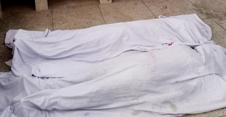 Truck runs over woman, son in Kushtia