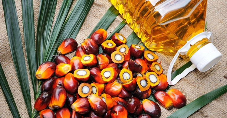 Indonesia to lift palm oil export ban from Monday: President